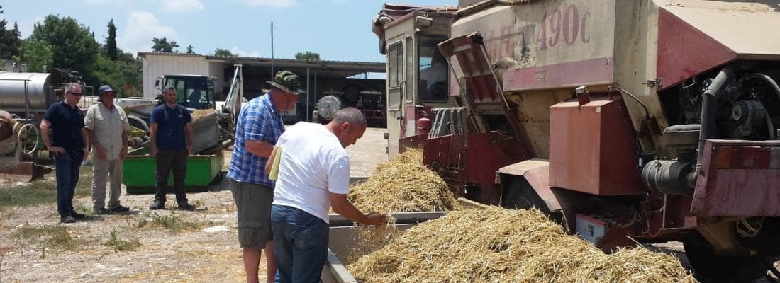 Feeding Strategy & Diet formulation for the Dairy Herd
