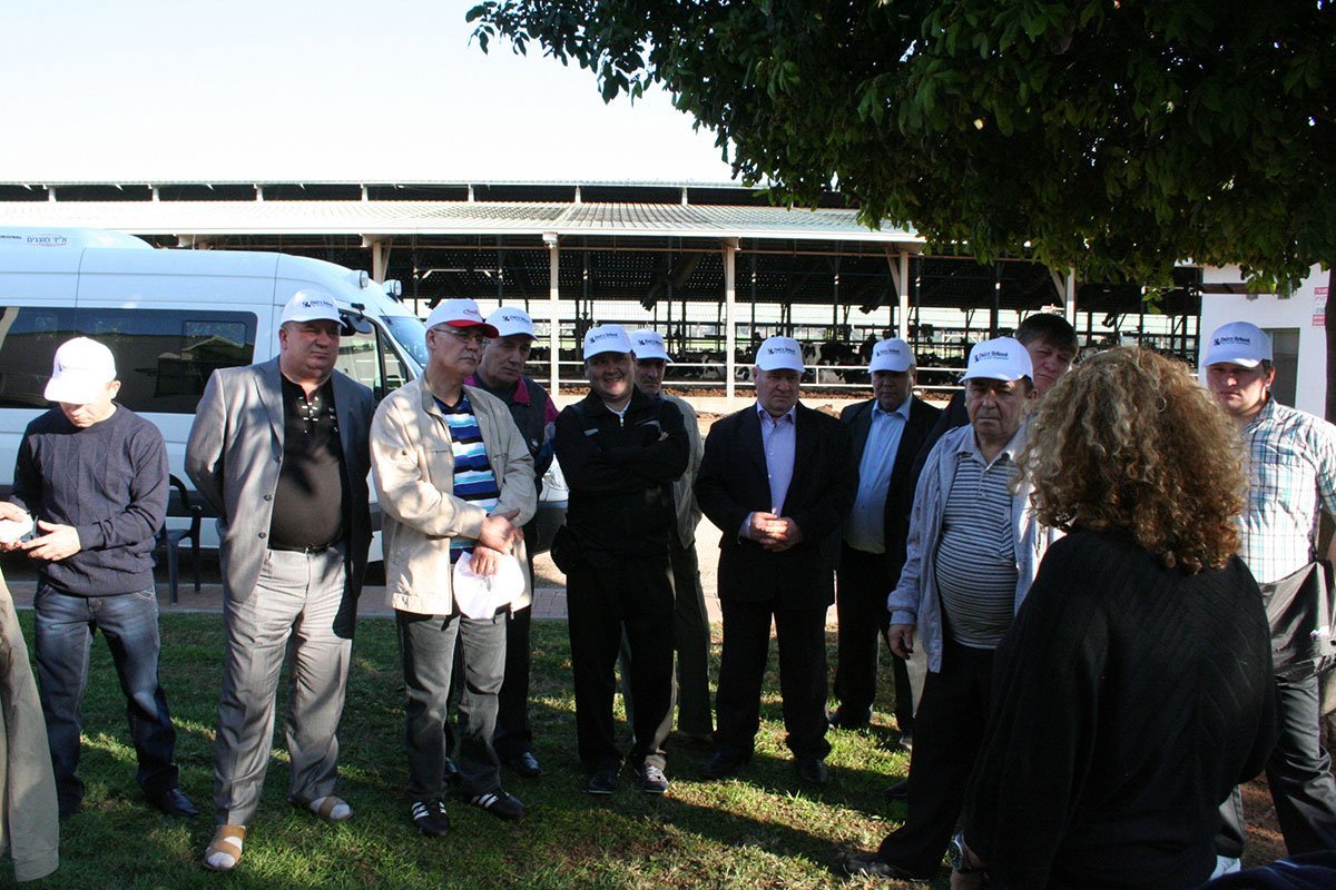 Израильская школа молочного животноводства