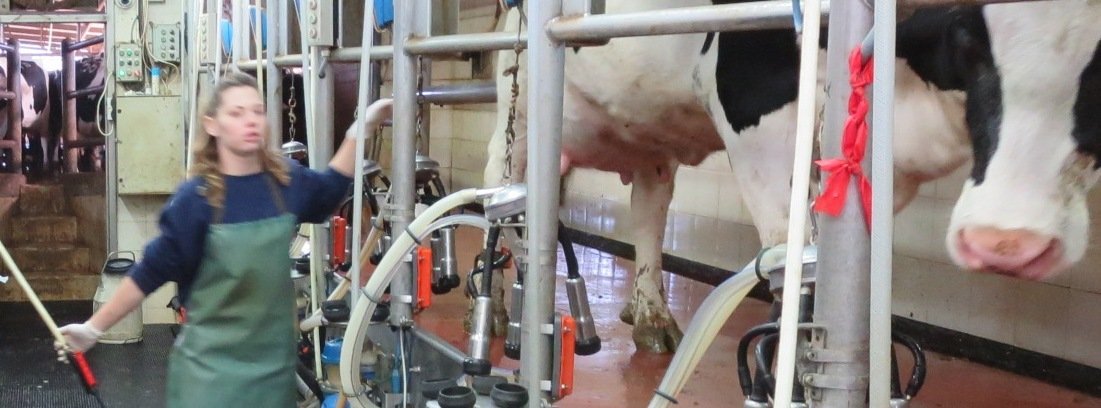 Bem-vindo à Escola Leiteira Israelita!