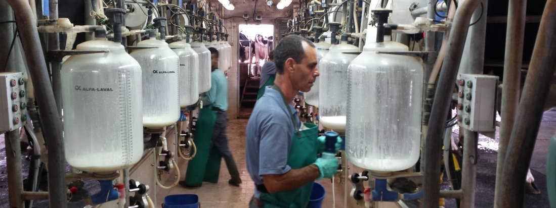 Recommended Books about Dairy Farming