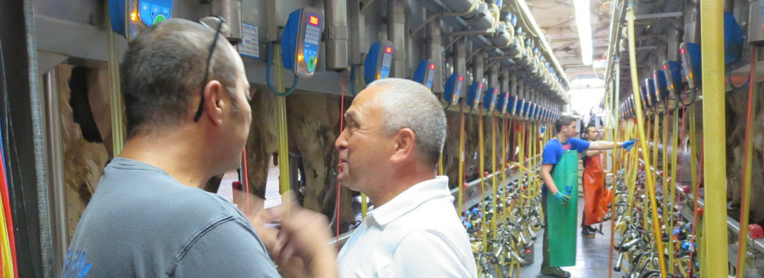 Dairy Farming Course For Groups