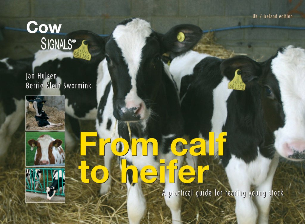 From Calf to Heifer book on calf rearing