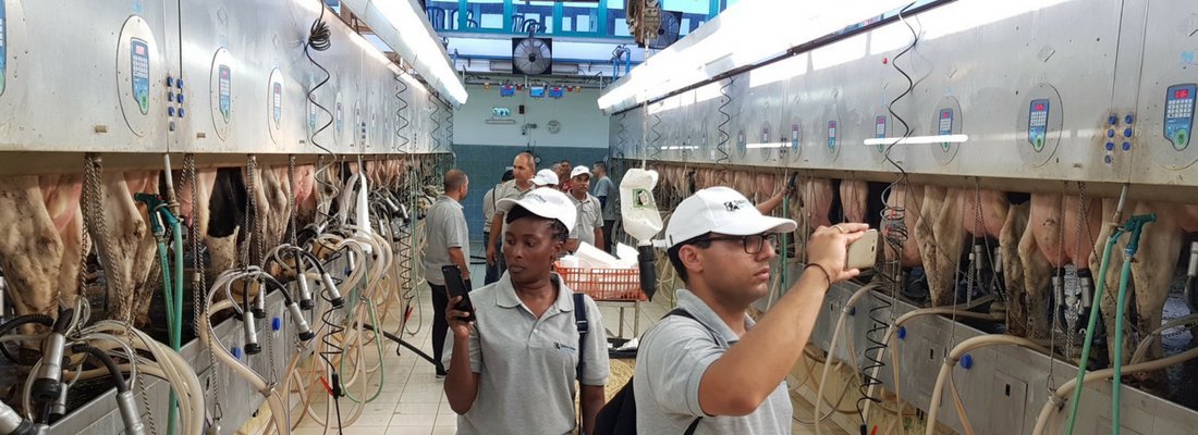 Israeli Dairy Industry Current Market Trends