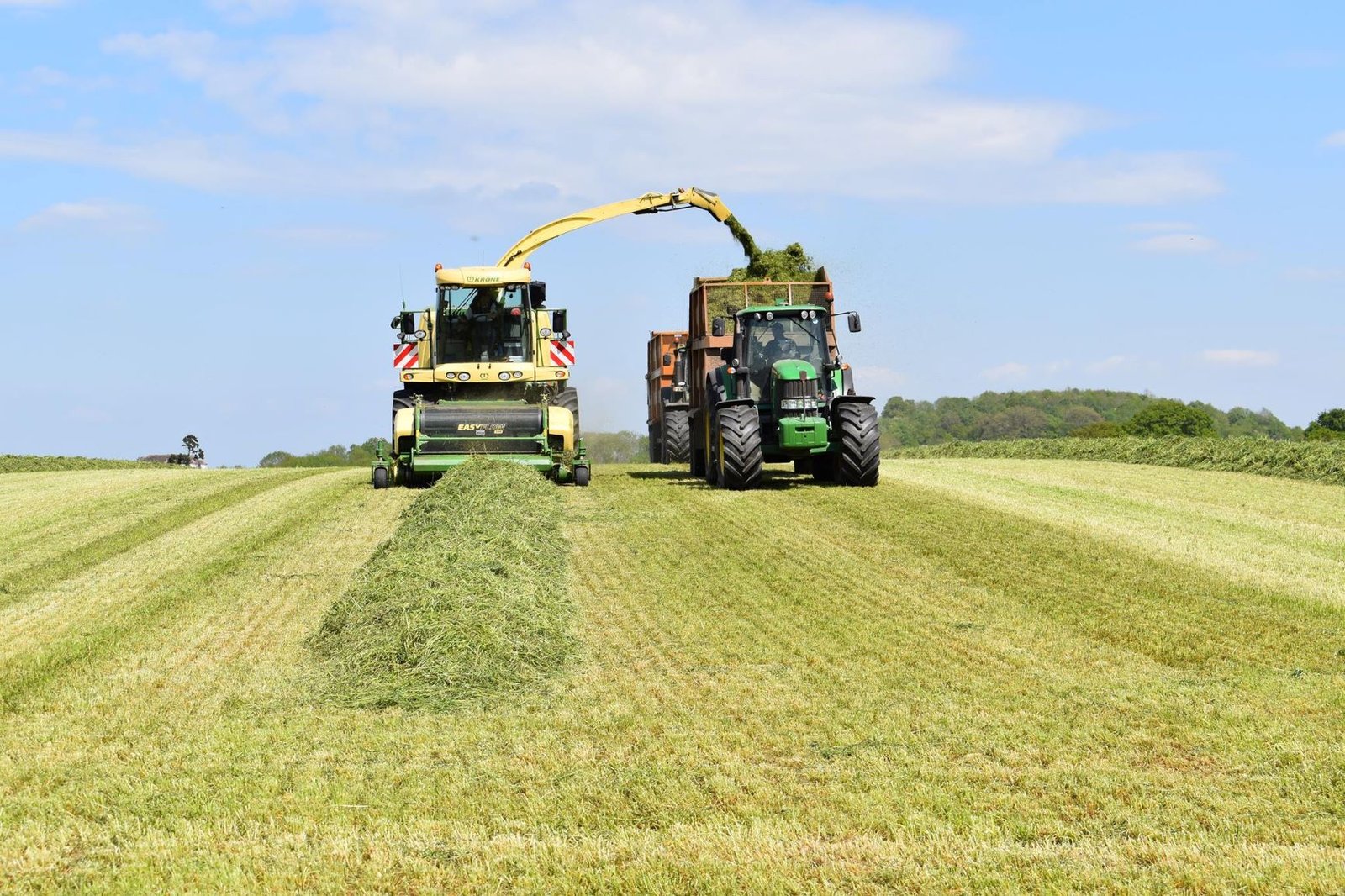 Professional silage preparation and packing for high digestibility forage – Israeli Dairy School