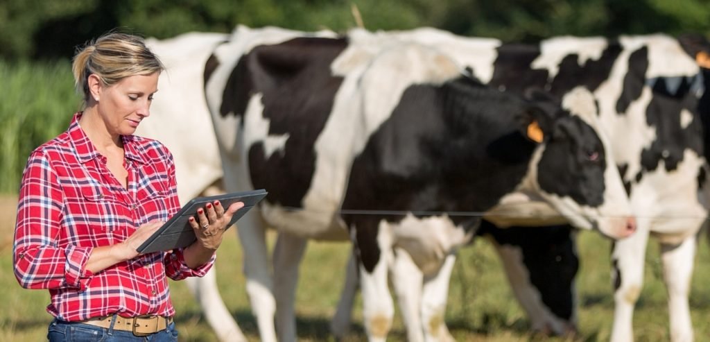 dairy sciences study