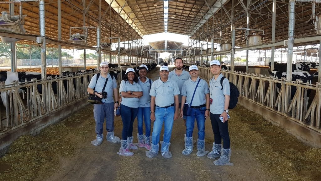 Dairy Farm Tours in Israel