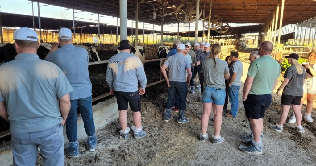 Pierwsza izraelska szkoła dla hodowców bydła