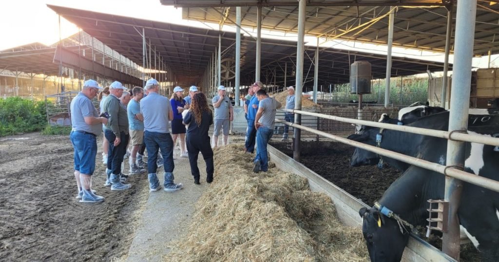 corsi di formazione lattiero casearia