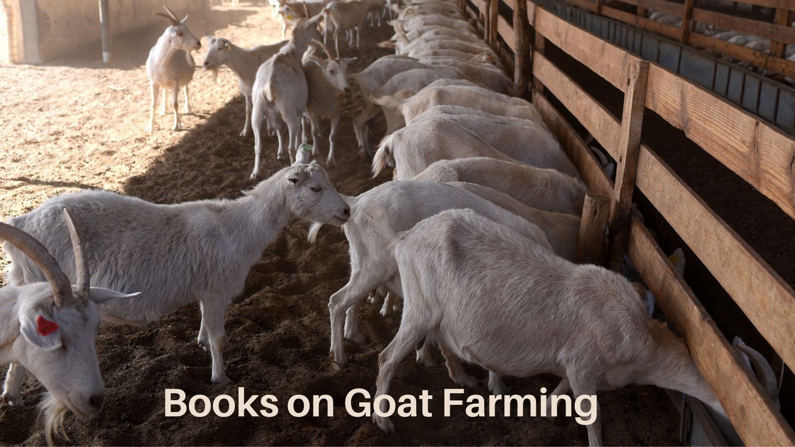 Best Book on Goat Farming: The Ultimate Guide