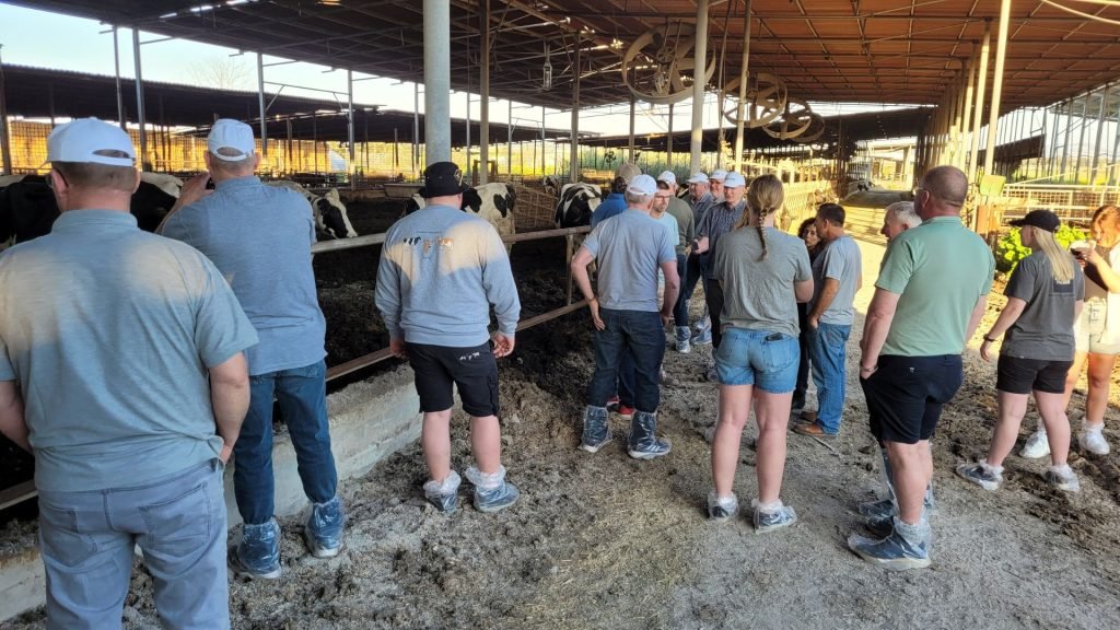 Hands-On Training Elevating Dairy Industry Facts at the Israeli Dairy School