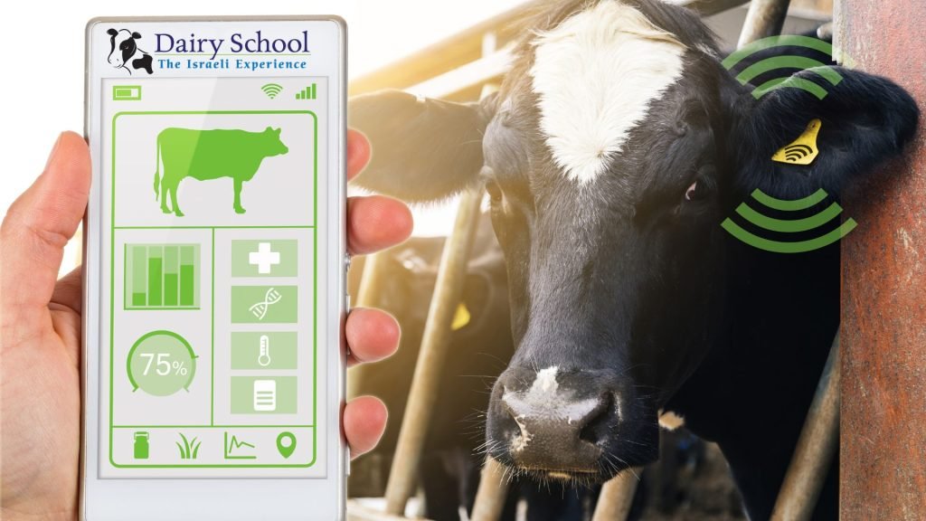 Herd Management Software Displaying Real-Time Data