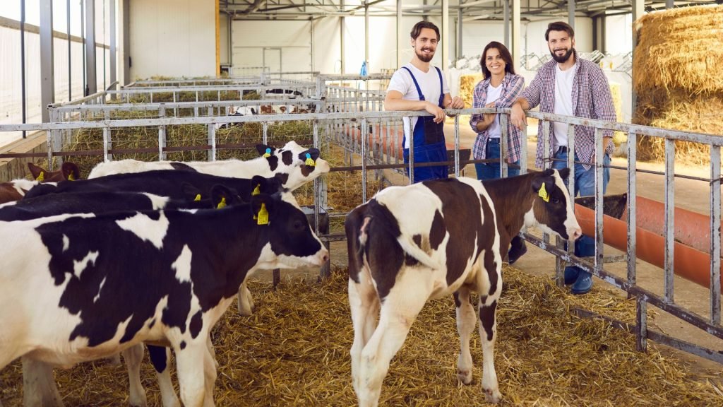 Optimize Calf and Heifer Rearing