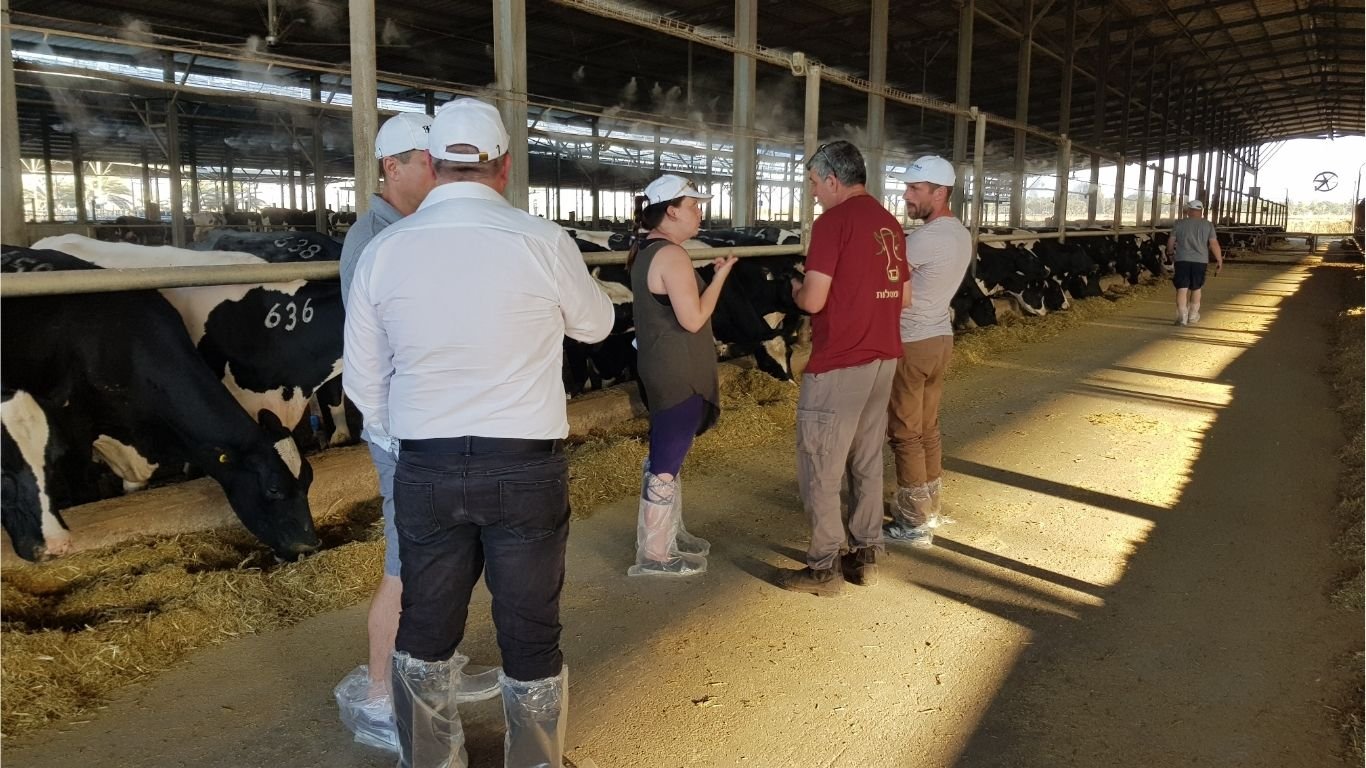 European dairy team during professional training in Israel
